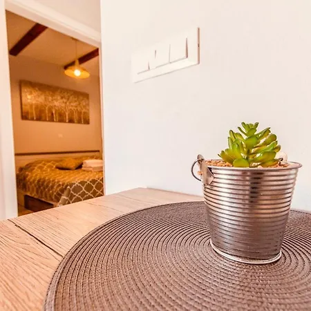 Vintage Apartman Bibinje
